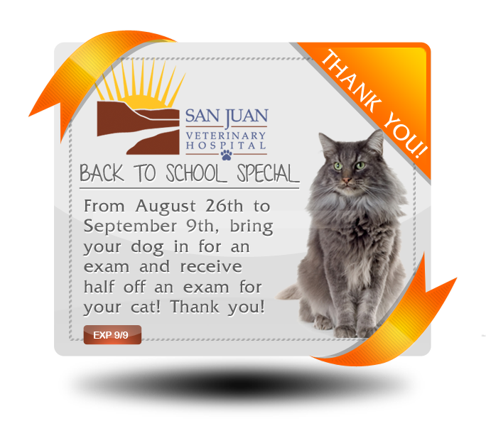 Back to School Special