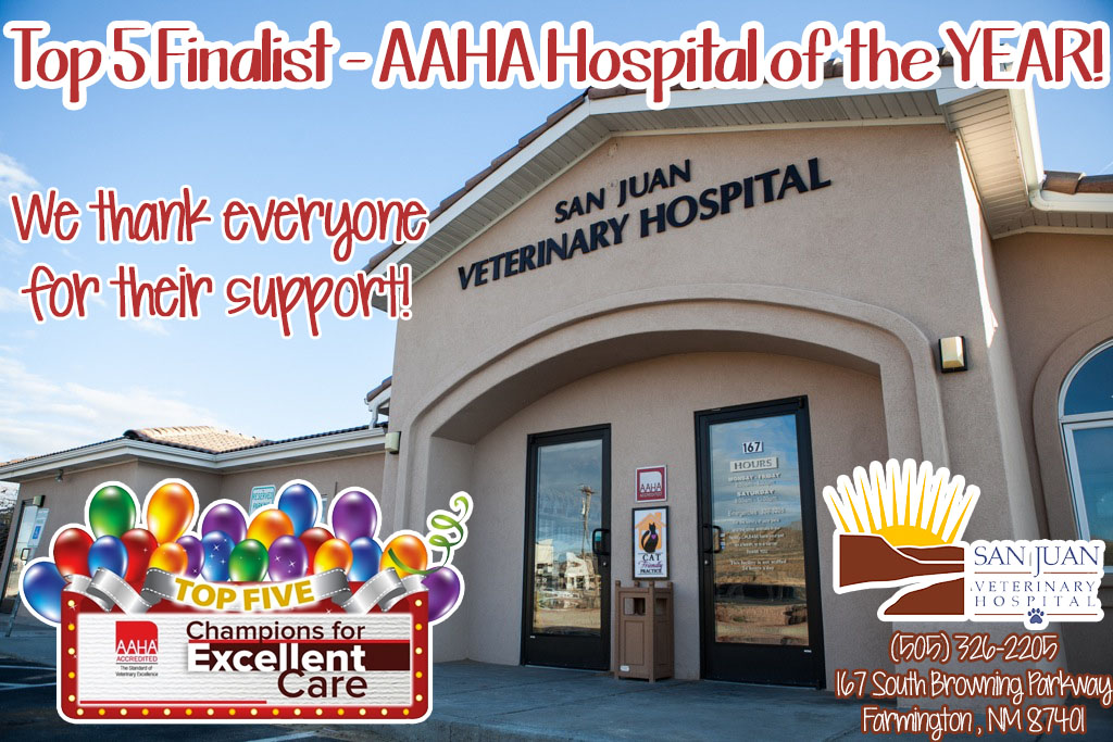 top 5 ahha finalist san juan