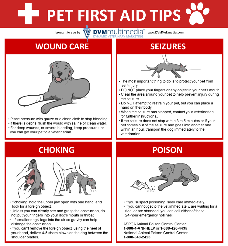 DVM-FIRSTAID1